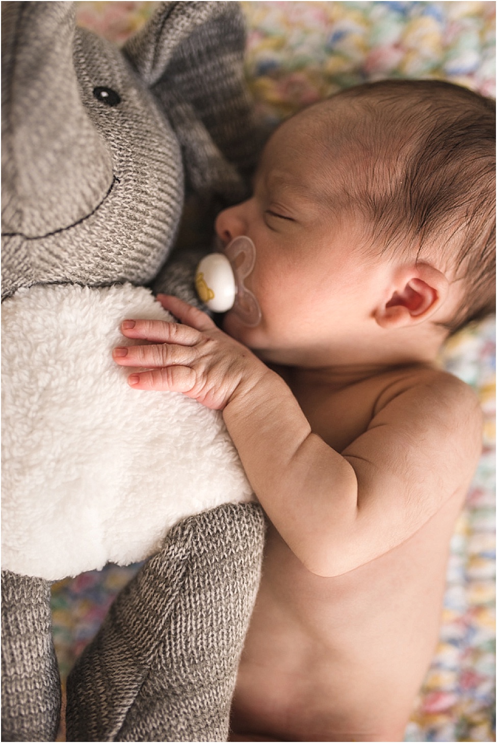 Home newborn family session | Jacksonville baby photographer