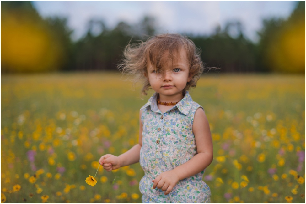 beautiful toddler in the flower field| jacksonville children photographer