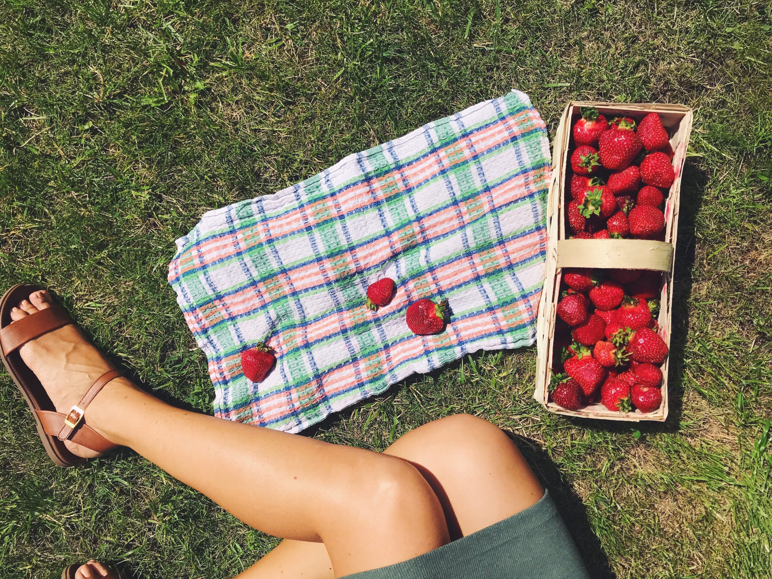 summer capture of picnic set up with fresh strawberries in the basket