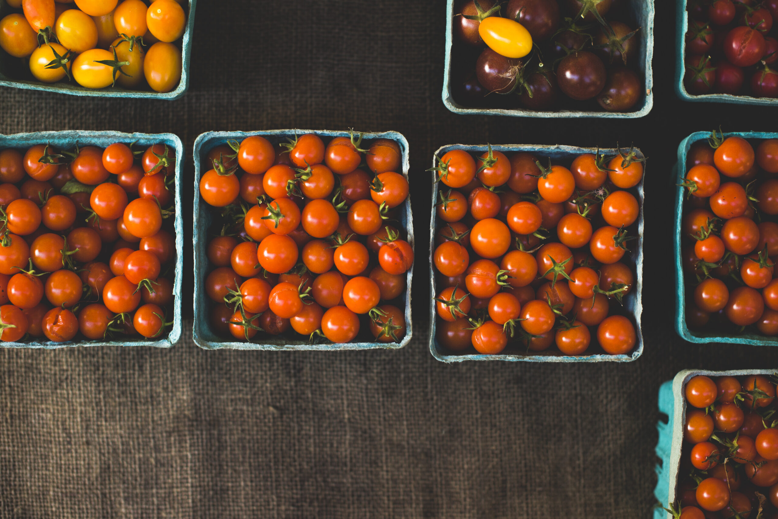 farmers market photo of rainbow tomatoes in the baskets