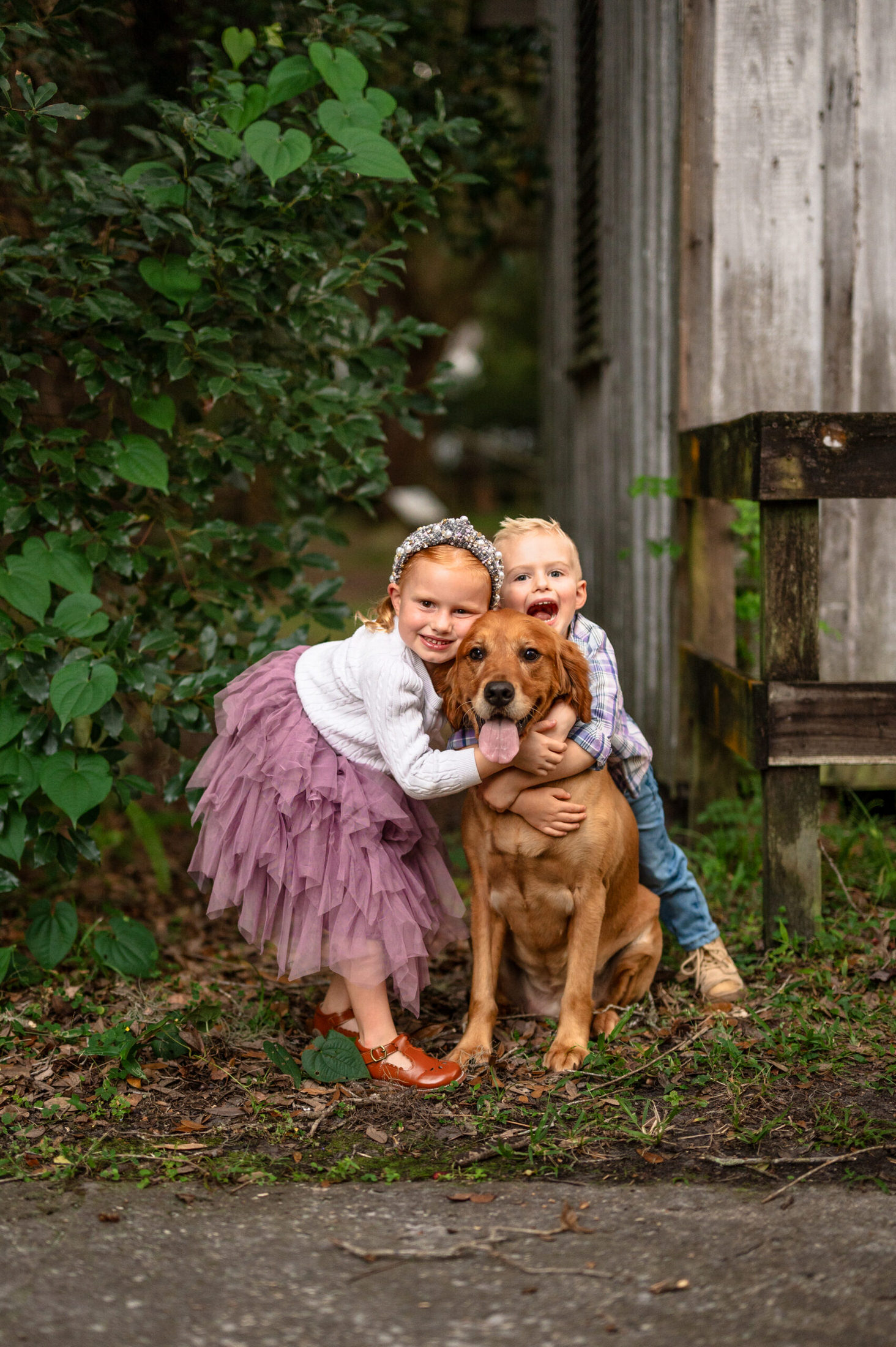 young children hugging dog in a Jacksonville children's photoshoot