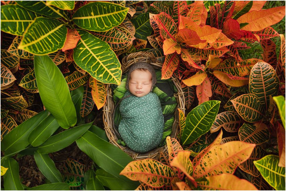 “Newborn baby swaddled in green, sleeping peacefully in a basket surrounded by lush tropical plants during a vibrant outdoor session in Jacksonville by Monika Colichio Photography”